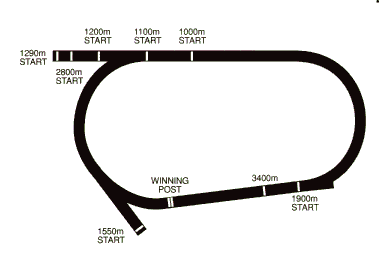 Racecourse image
