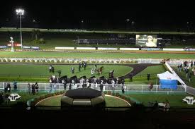 Racecourse image