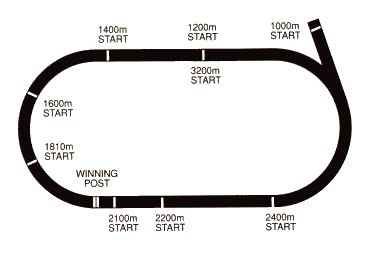 Racecourse image