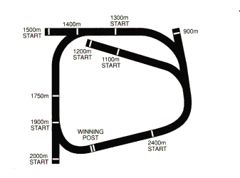 Racecourse image