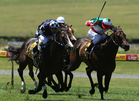 Racecourse image