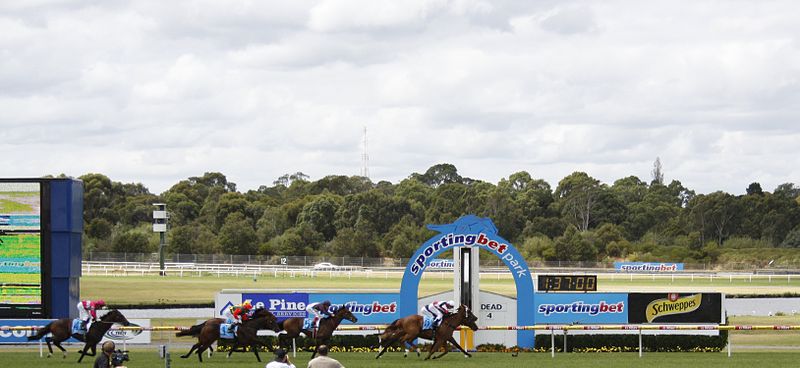 Racecourse image