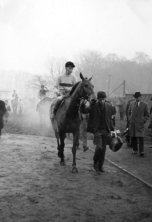 Arkle