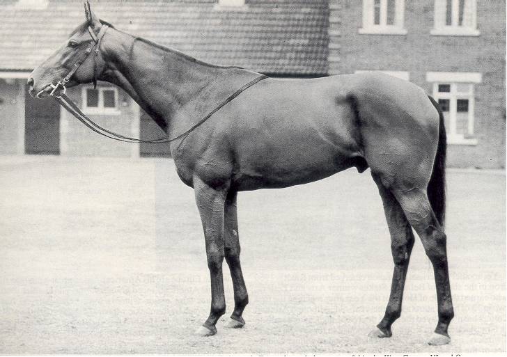 Ribot