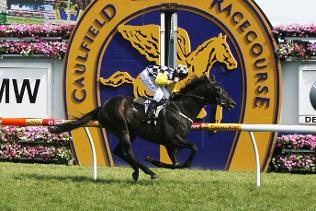 Viewed winning the 2009 Caulfield Cup