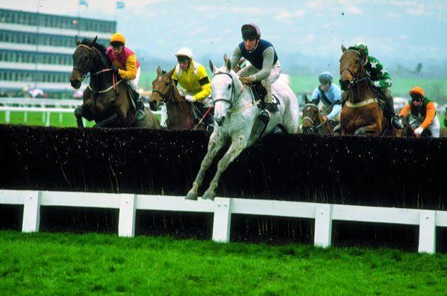 Cheltenham Gold Cup